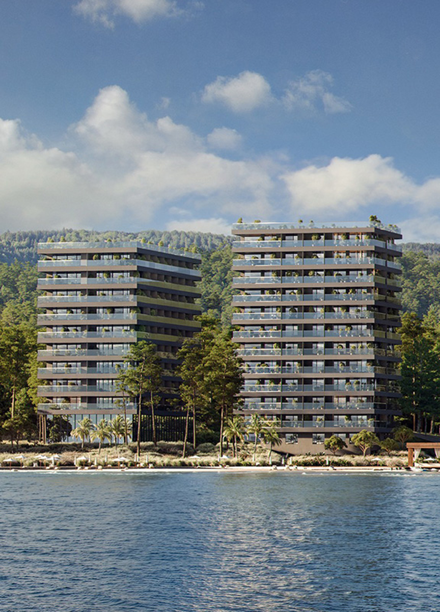 ბუკნარი ლისი დევეოპმენტისგან 