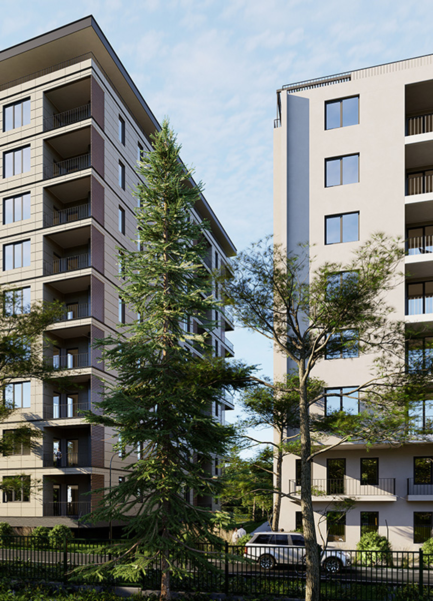 ეკო ლისი