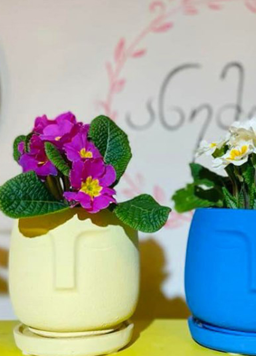 ანემონე